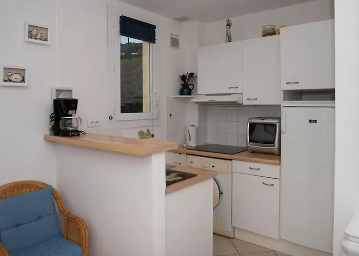 Lägenhet T2 Au Lavandou Pour 4, Proche - Fr-1-803-14 *