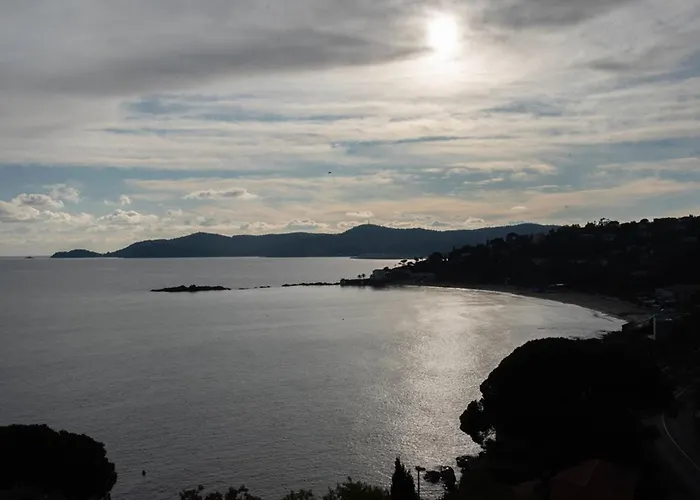 T2 Au Lavandou Pour 4, Proche - Fr-1-803-14 Lägenhet Le Lavandou