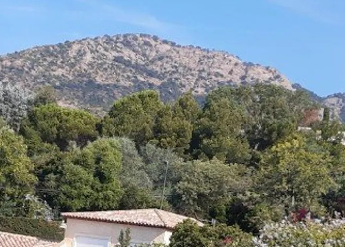 T2 Au Lavandou Pour 4, Proche - Fr-1-803-14 Lägenhet *